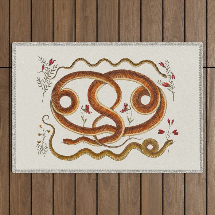 Albertus Seba Snakes Flowers Engraving ii Outdoor Rug Gallery Image 1