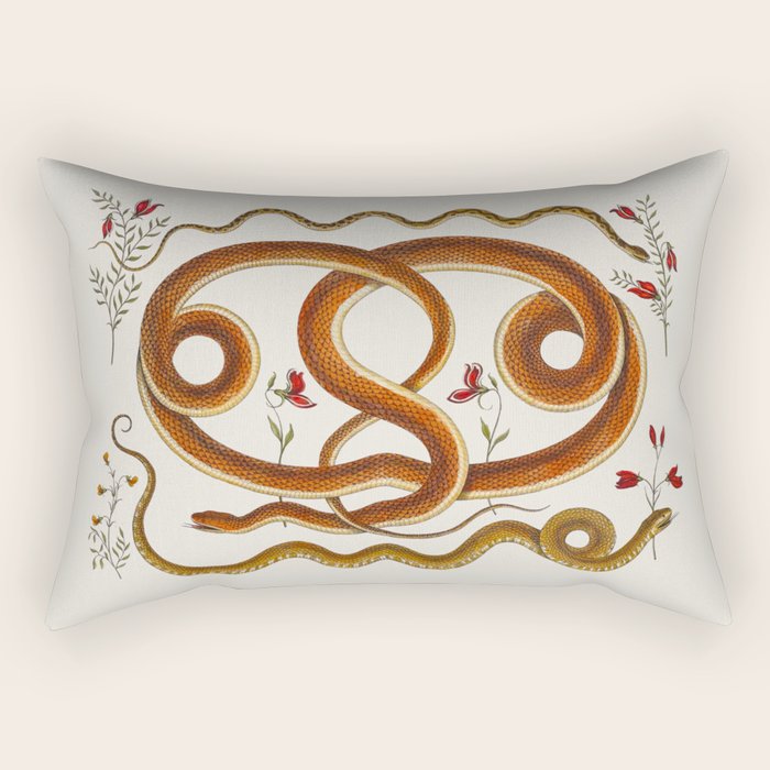 Albertus Seba Snakes Flowers Engraving ii Rectangular Pillow Gallery Image 2