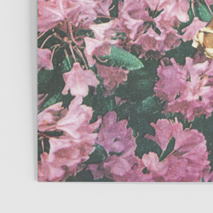 Spring Walks Poster Gallery Image 3