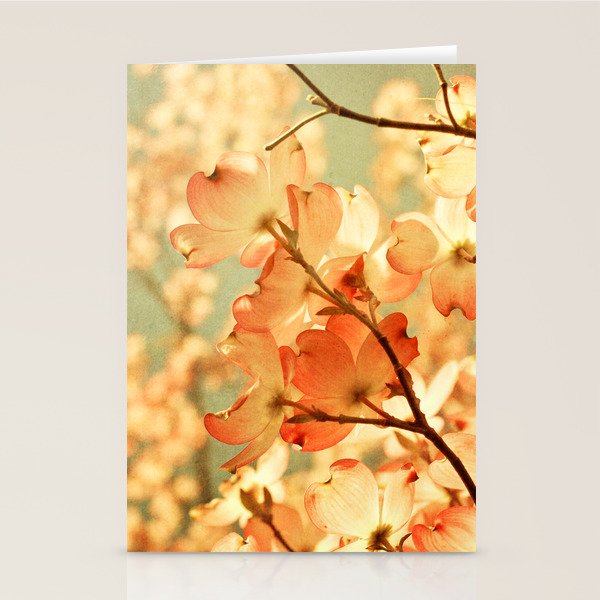 Vintage Pink Stationery Card Gallery Image 2