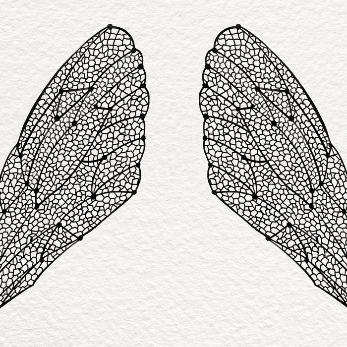 Black Cicada Wings Coffee Mug Gallery Image 2