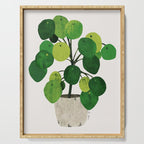 Pilea Peperomioides interior plant Serving Tray Gallery Image 1