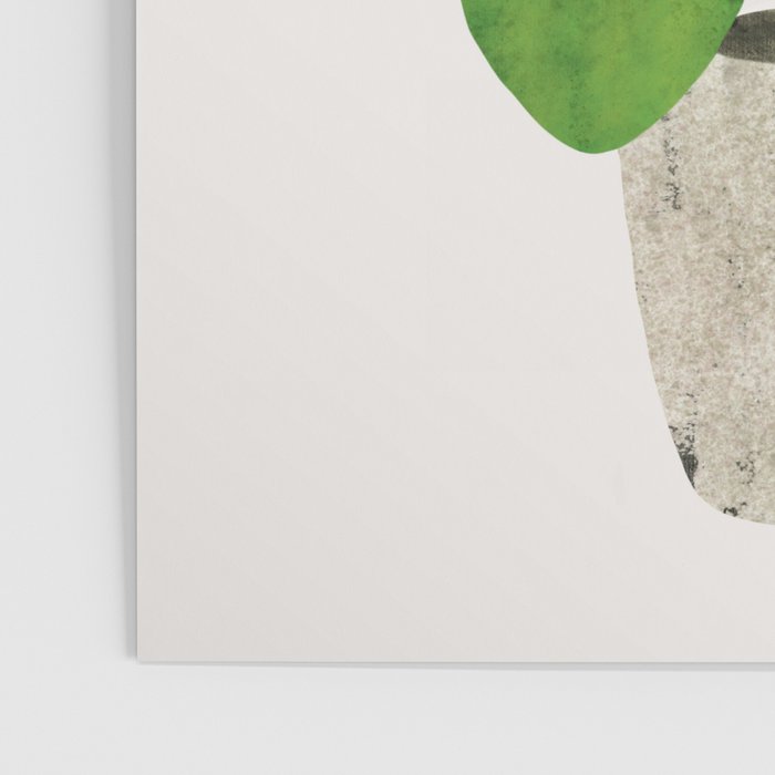 Pilea Peperomioides interior plant Poster Gallery Image 3