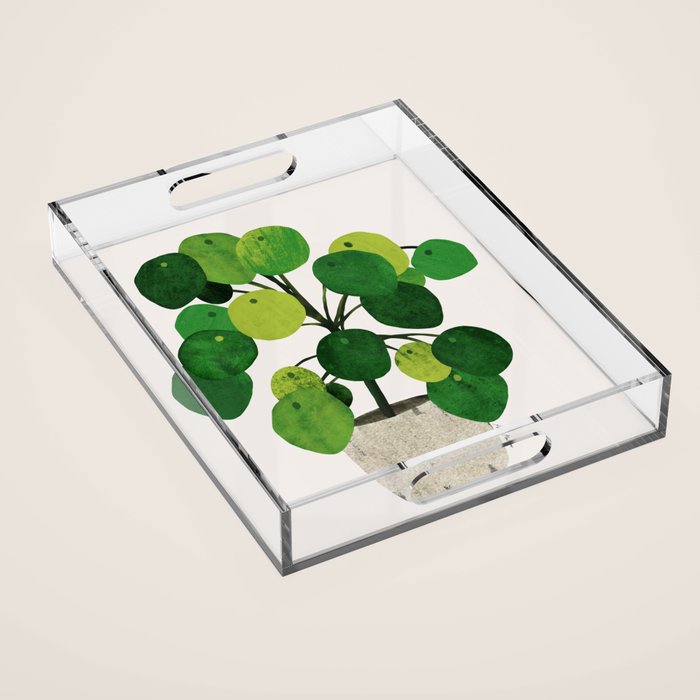 Pilea Peperomioides interior plant Acrylic Tray Gallery Image 1
