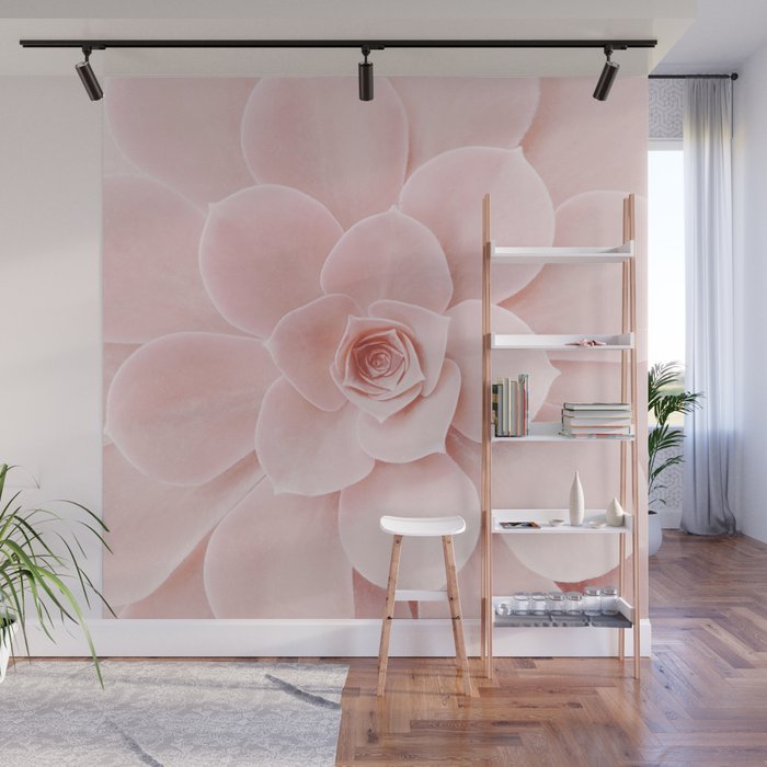Blush Succulent Wall Mural Gallery Image 1