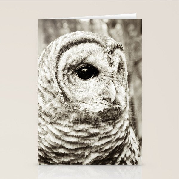 Wise Old Owl Stationery Card Gallery Image 1