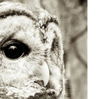 Wise Old Owl Coffee Mug Gallery Image 2