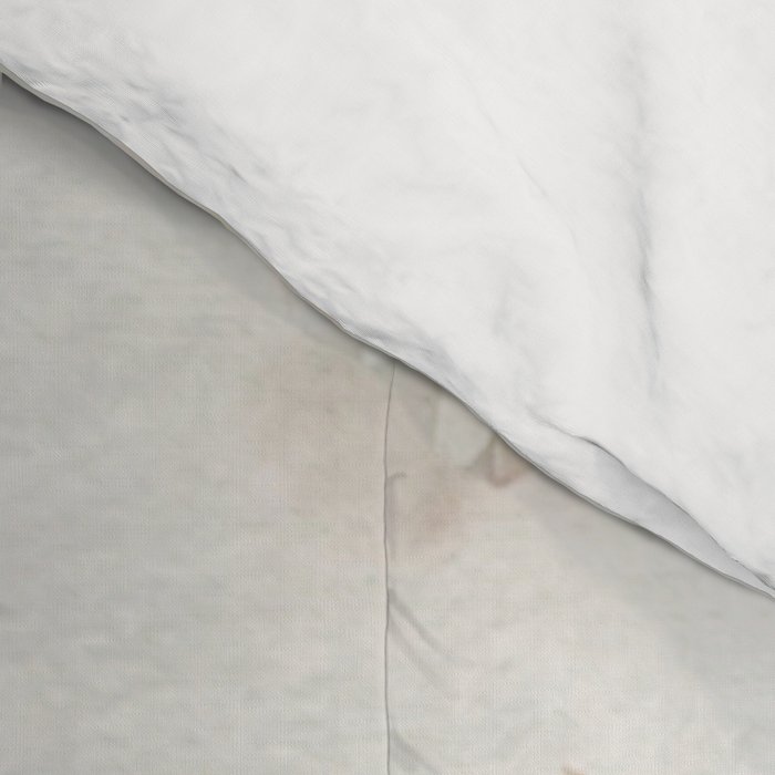 Daisy Collection Comforter Gallery Image 4