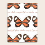 Butterfly - Cartea vitula ucayala Notebook Gallery Image 4