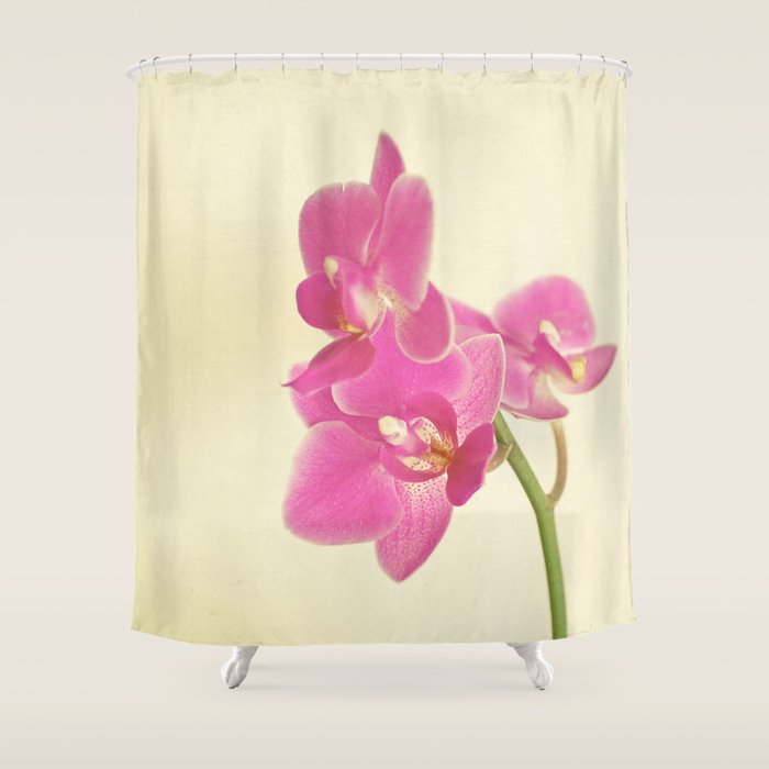 Pink Orchid Shower Curtain Gallery Image 1