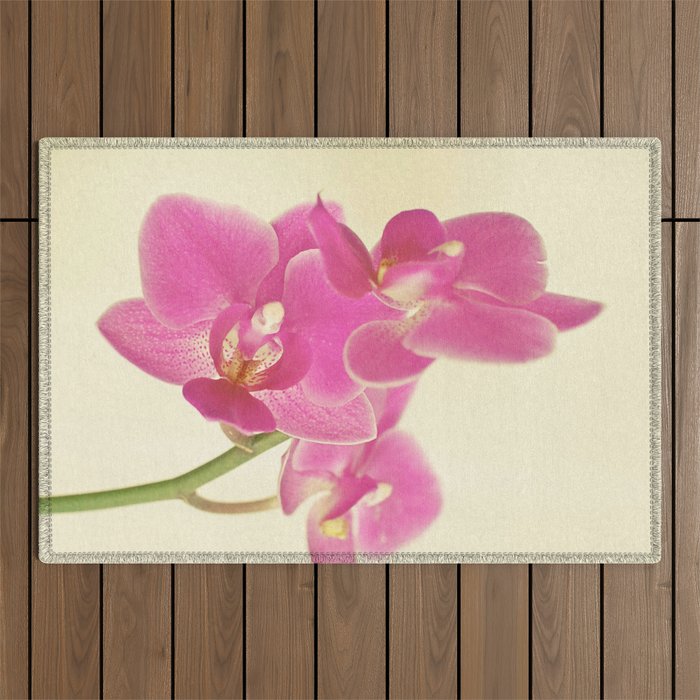 Pink Orchid Outdoor Rug Gallery Image 1