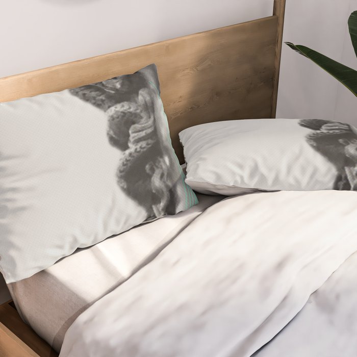 LDN765 Pillow Sham Gallery Image 2
