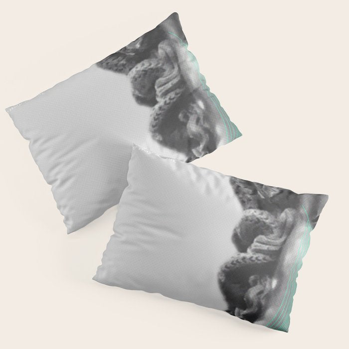 LDN765 Pillow Sham Gallery Image 3