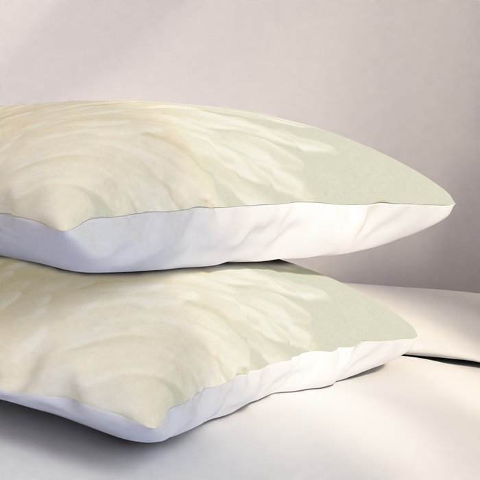Pale Beauty Pillow Sham Gallery Image 3