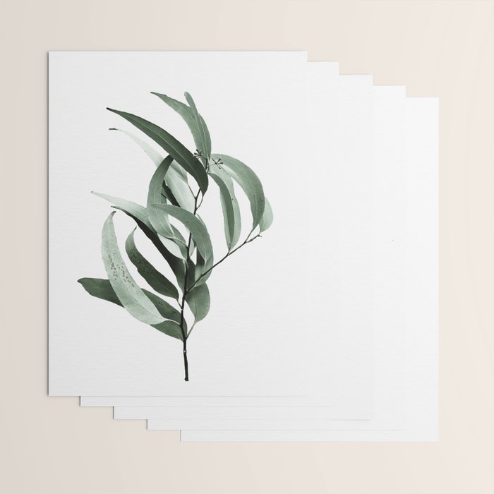 Eucalyptus - Australian gum tree Wrapping Paper Gallery Image 3