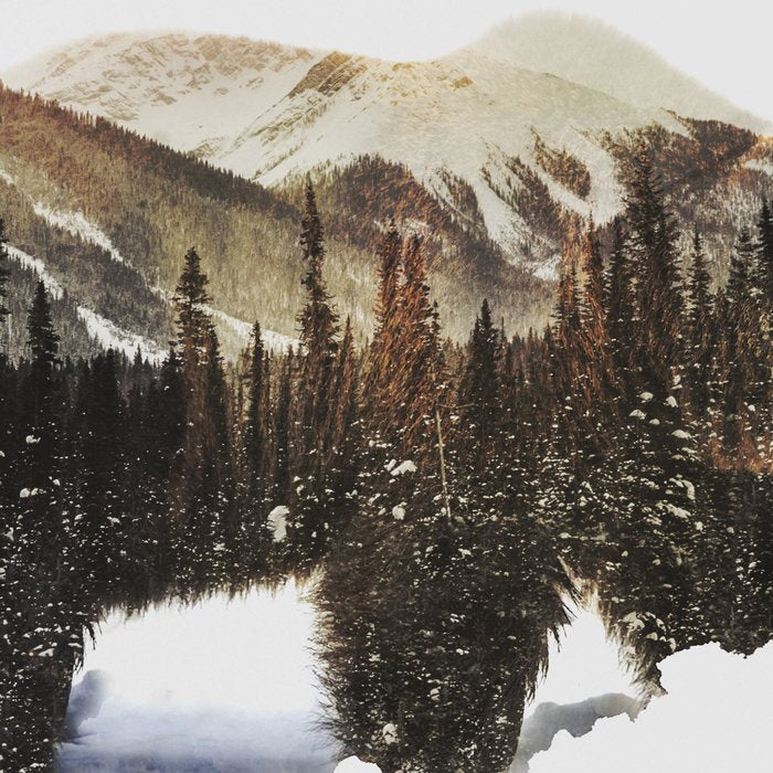 Arctic Grizzly Bear Coffee Mug Gallery Image 2
