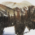 Arctic Grizzly Bear Coffee Mug Gallery Image 2