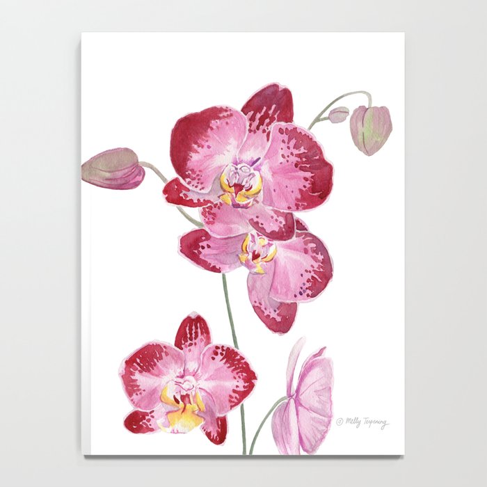 Orchid 2 Notebook Gallery Image 4