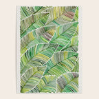 Tropical Green Poster Gallery Image 4