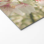 Spring Blossom Welcome Mat Gallery Image 2