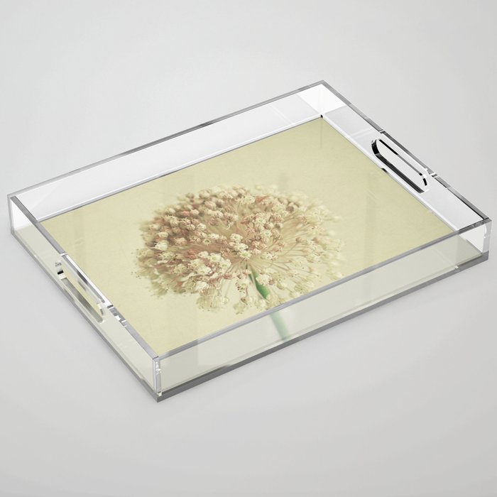 Sphere Acrylic Tray Gallery Image 1