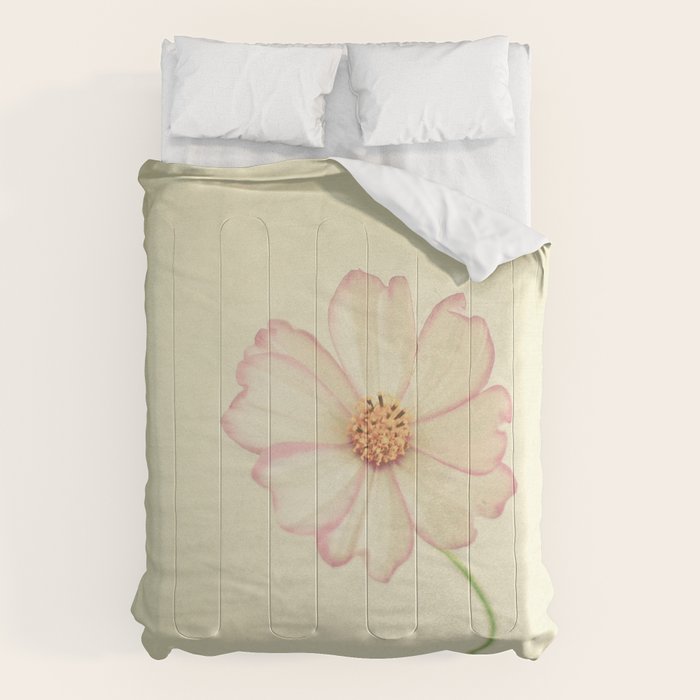 Close to You Comforter Gallery Image 6