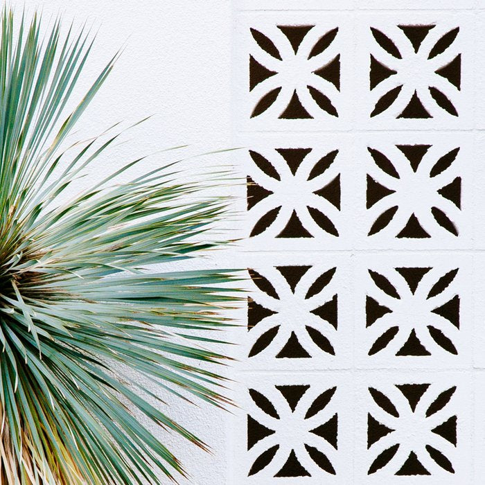 Palm Springs Cactus Coffee Mug Gallery Image 2