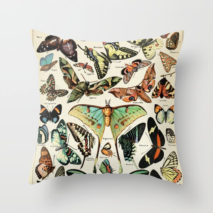 Papillon I Vintage French Butterfly Charts by Adolphe Millot Throw Pillow Gallery Image 6