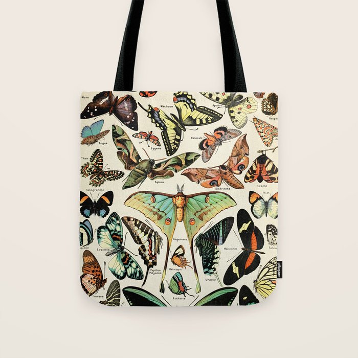Papillon I Vintage French Butterfly Charts by Adolphe Millot Tote Bag Gallery Image 1