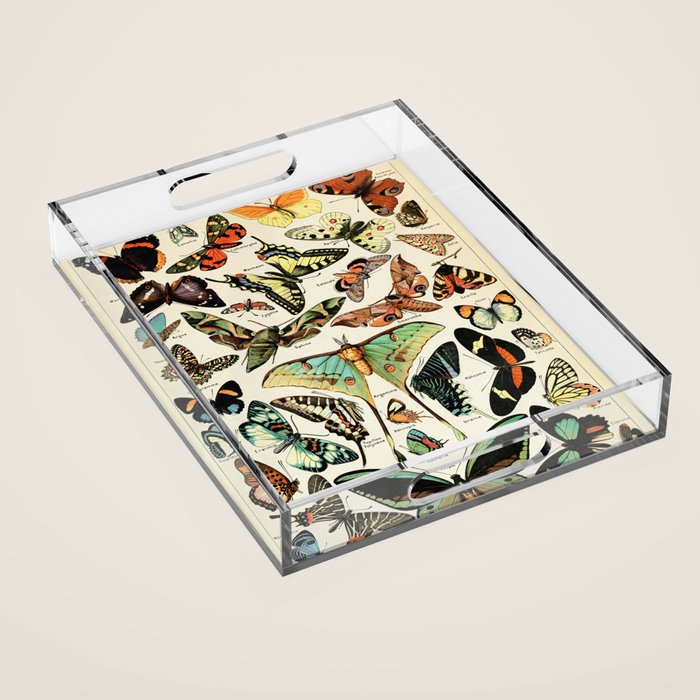 Papillon I Vintage French Butterfly Charts by Adolphe Millot Acrylic Tray Gallery Image 1