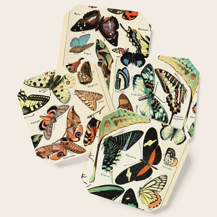 Papillon I Vintage French Butterfly Charts by Adolphe Millot Coaster Gallery Image 1