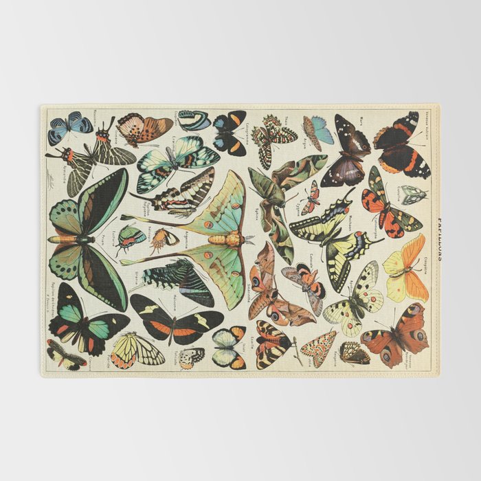 Papillon I Vintage French Butterfly Charts by Adolphe Millot Rug Gallery Image 2