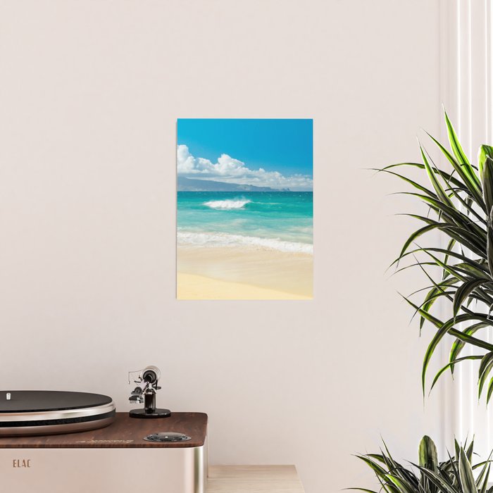 Hawaii Beach Treasures Poster Gallery Image 2