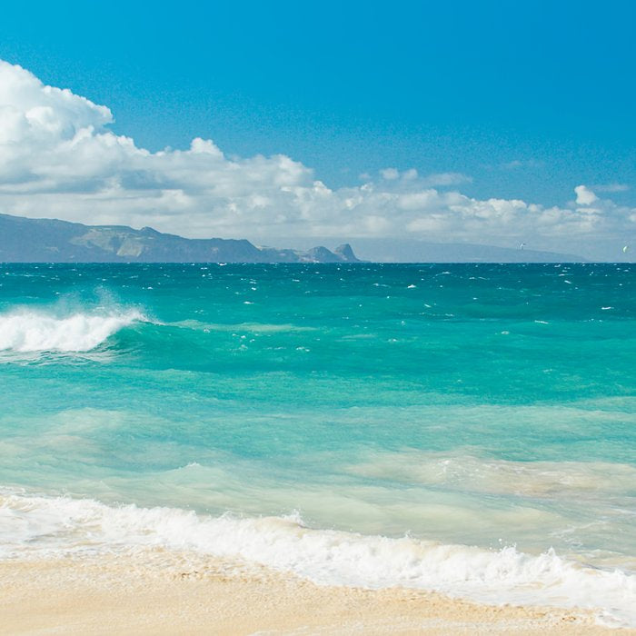 Hawaii Beach Treasures Coffee Mug Gallery Image 2