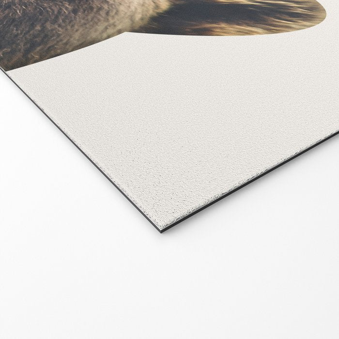 Bear Welcome Mat Gallery Image 2