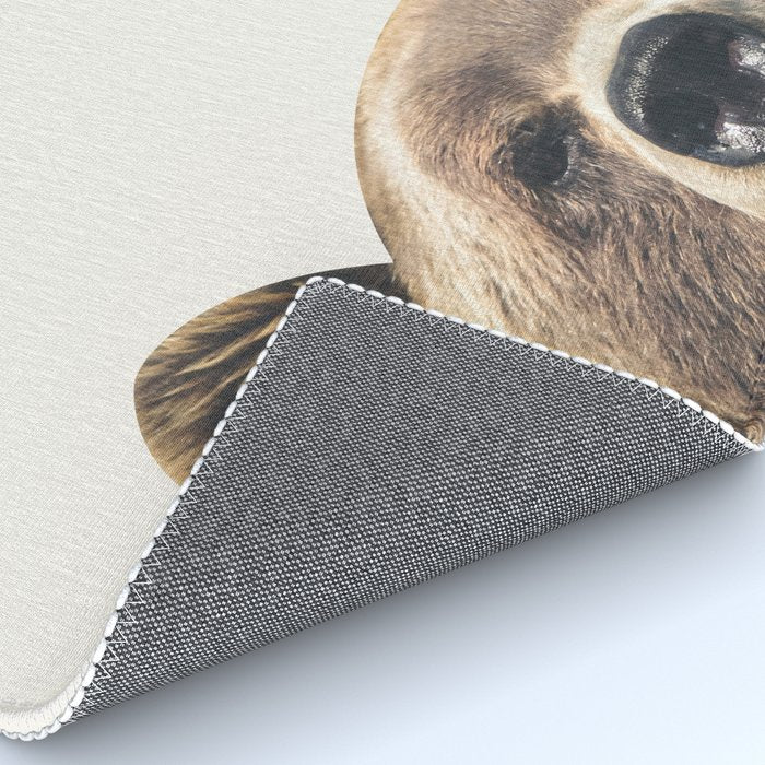 Bear Rug Gallery Image 4