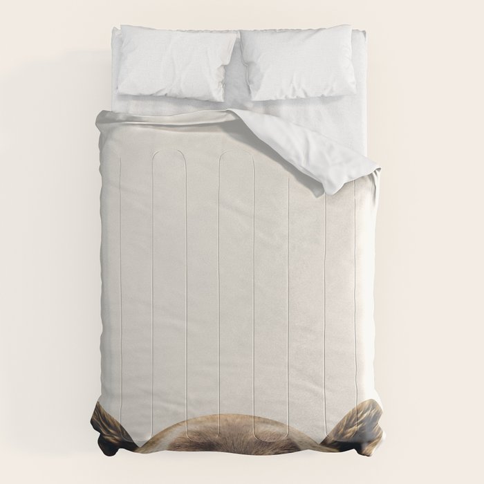 Bear Comforter Gallery Image 6
