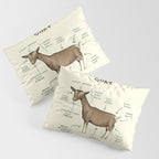 Anatomy of a Goat Pillow Sham Gallery Image 3