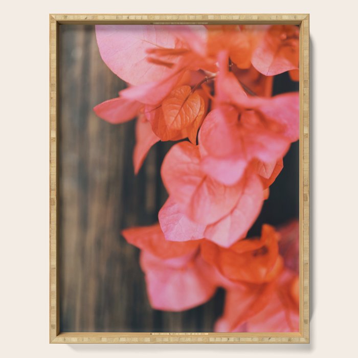 Coral Serving Tray Gallery Image 1