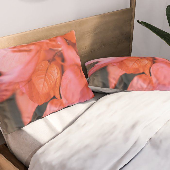 Coral Pillow Sham Gallery Image 2