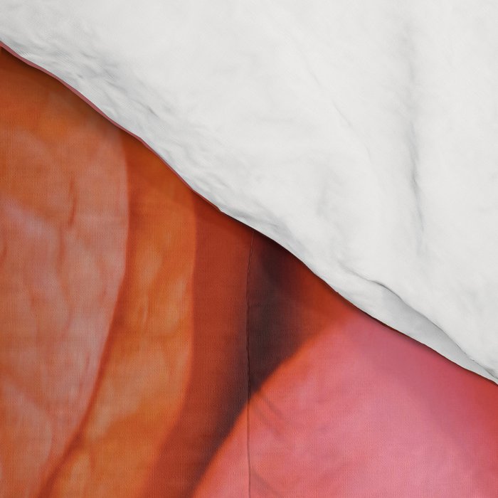 Coral Comforter Gallery Image 4