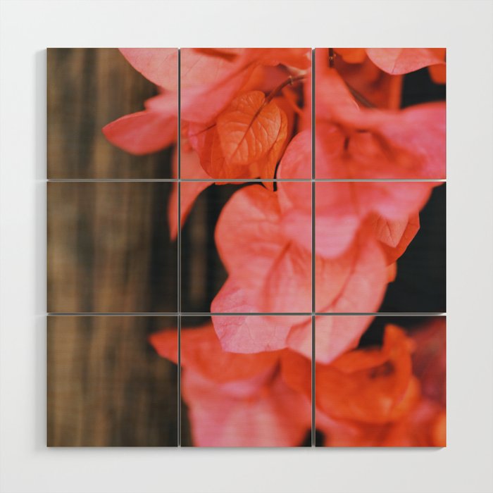 Coral Wood Wall Art Gallery Image 1