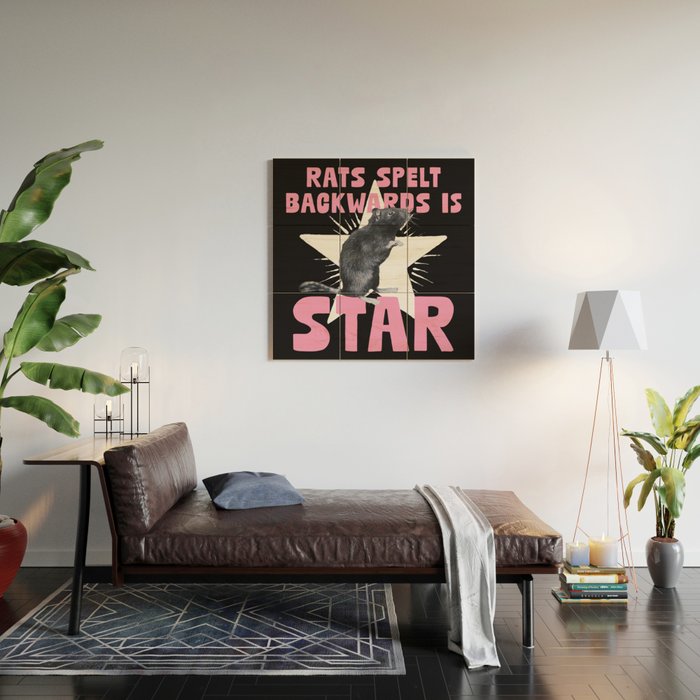 Rats spelt backwards is STAR Wood Wall Art Gallery Image 2