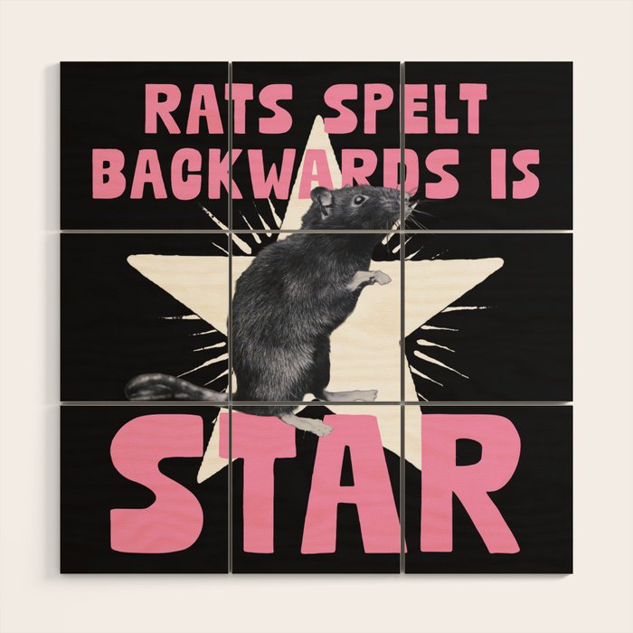 Rats spelt backwards is STAR Wood Wall Art Gallery Image 1