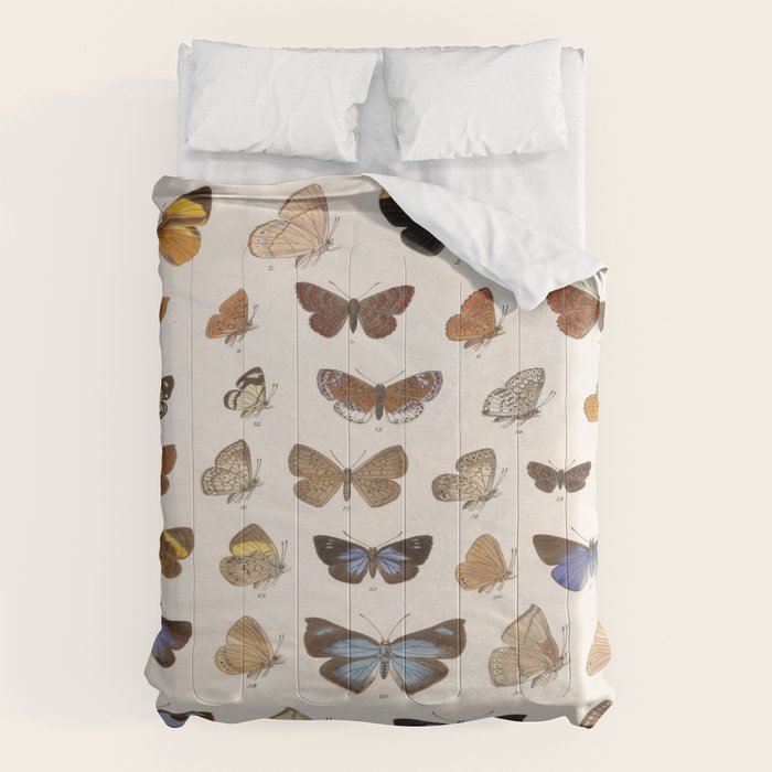 Vintage Scientific Insect Butterfly Moth Biological Hand Drawn Species Art Illustration Comforter Gallery Image 6