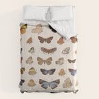 Vintage Scientific Insect Butterfly Moth Biological Hand Drawn Species Art Illustration Comforter Gallery Image 6