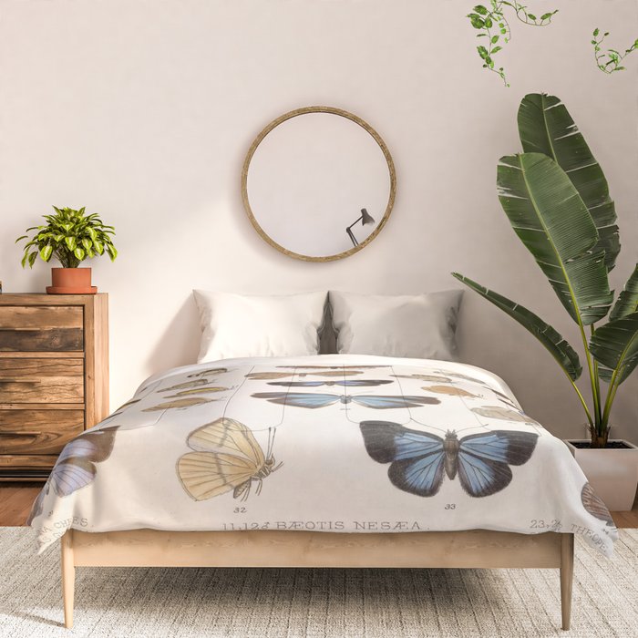 Vintage Scientific Insect Butterfly Moth Biological Hand Drawn Species Art Illustration Comforter Gallery Image 3