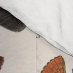 Vintage Scientific Insect Butterfly Moth Biological Hand Drawn Species Art Illustration Comforter Gallery Image 4