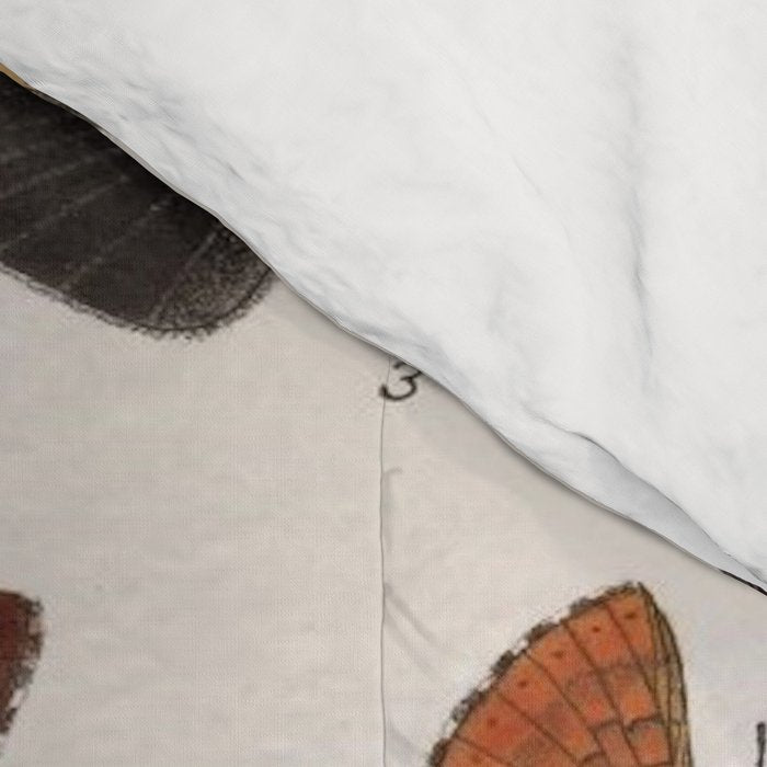 Vintage Scientific Insect Butterfly Moth Biological Hand Drawn Species Art Illustration Comforter Gallery Image 4