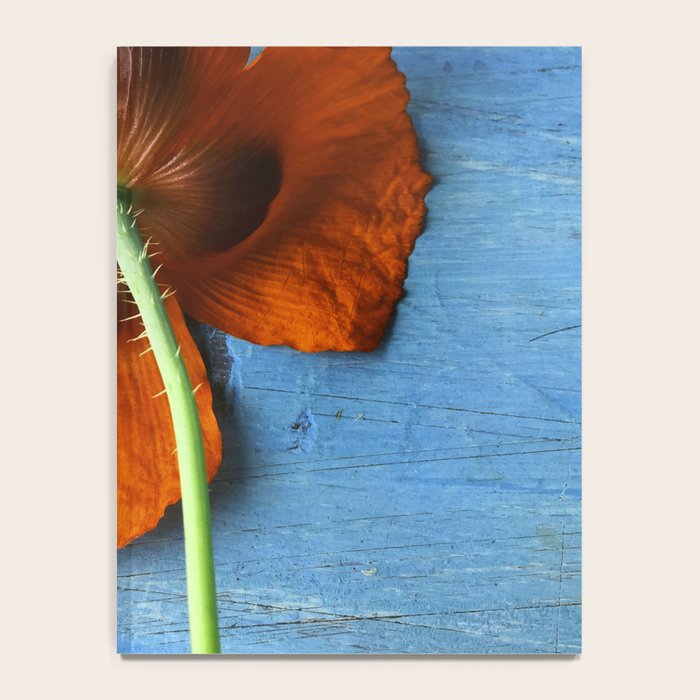 Red Poppy on Blue Notebook Gallery Image 4
